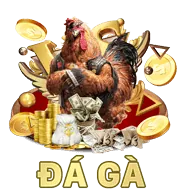 Biểu tượng đa dạng các trận đấu gà